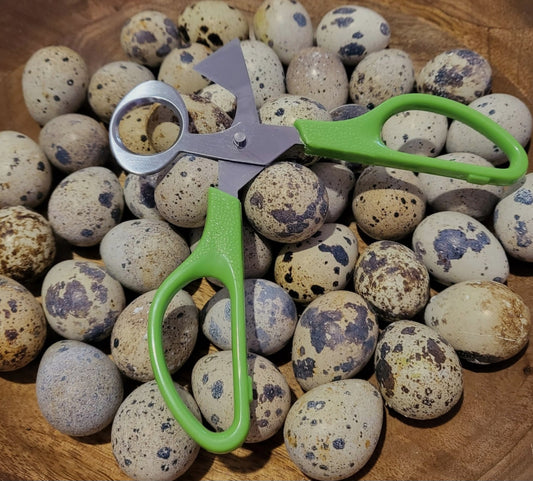 Quail Egg Scissors